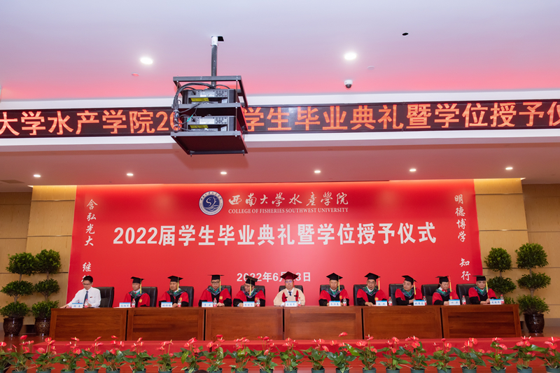 1.jpg betway西汉姆联