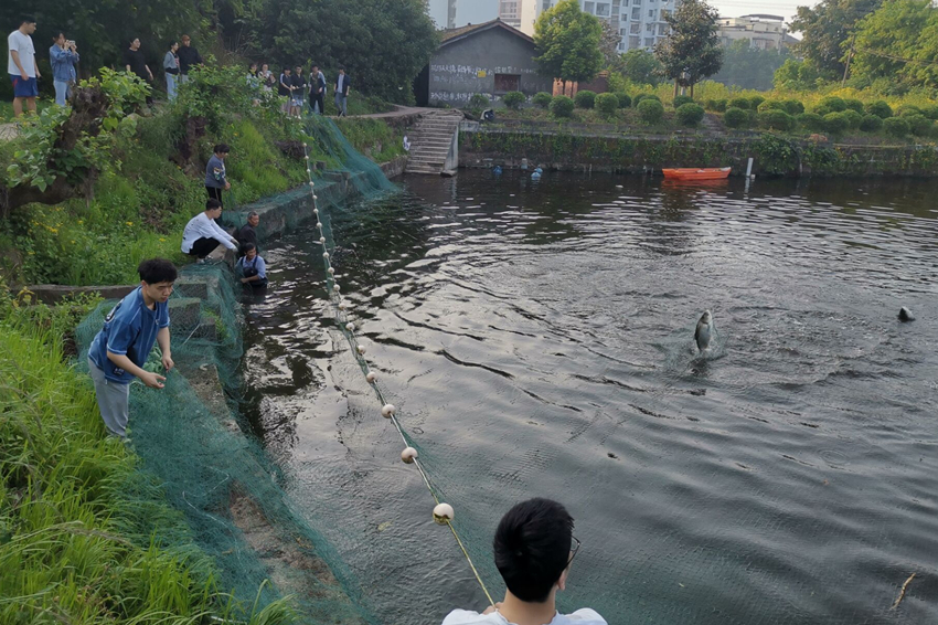 学生在亲鱼拉网.jpg