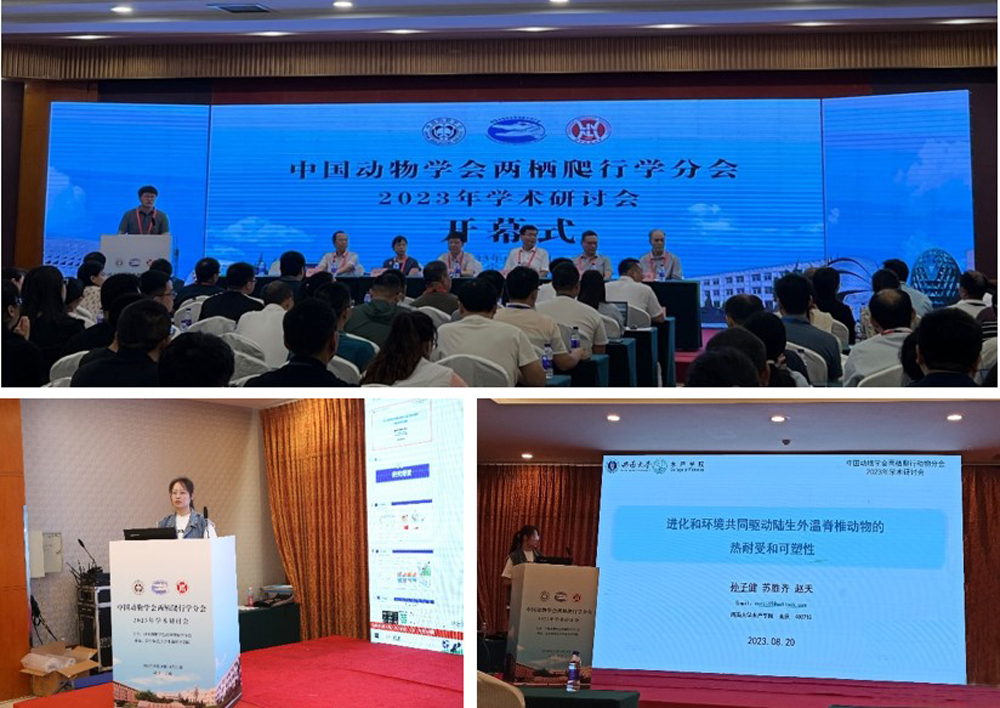 图片1.jpg betway西汉姆联