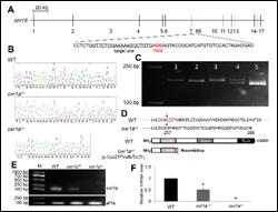 image001.jpg betway西汉姆联