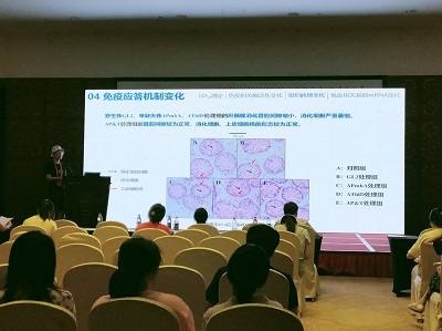 4.jpg betway西汉姆联