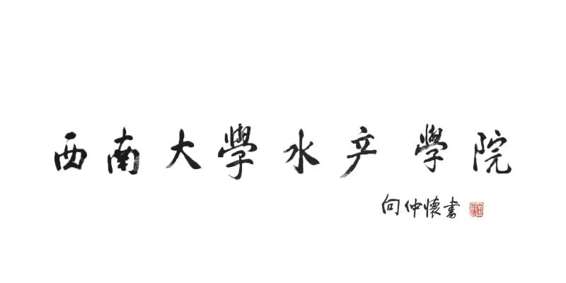 微信图片_20201219234001.jpg betway西汉姆联